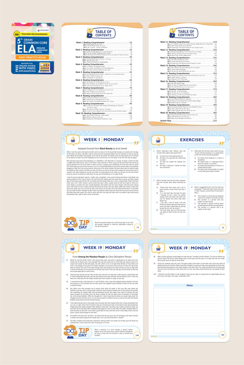 5th Grade (5 Workbooks + 12 Months Online Access)