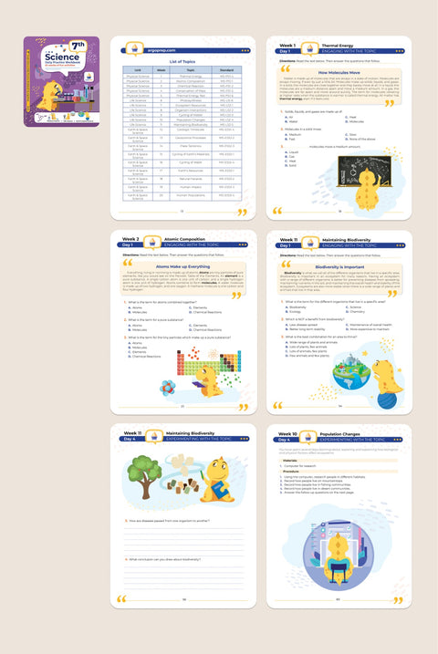 7th Grade Ultimate Bundle (10 Workbooks)
